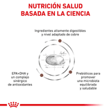 VHN HEPATIC CAT - BASADA EN LA CIENCIA
